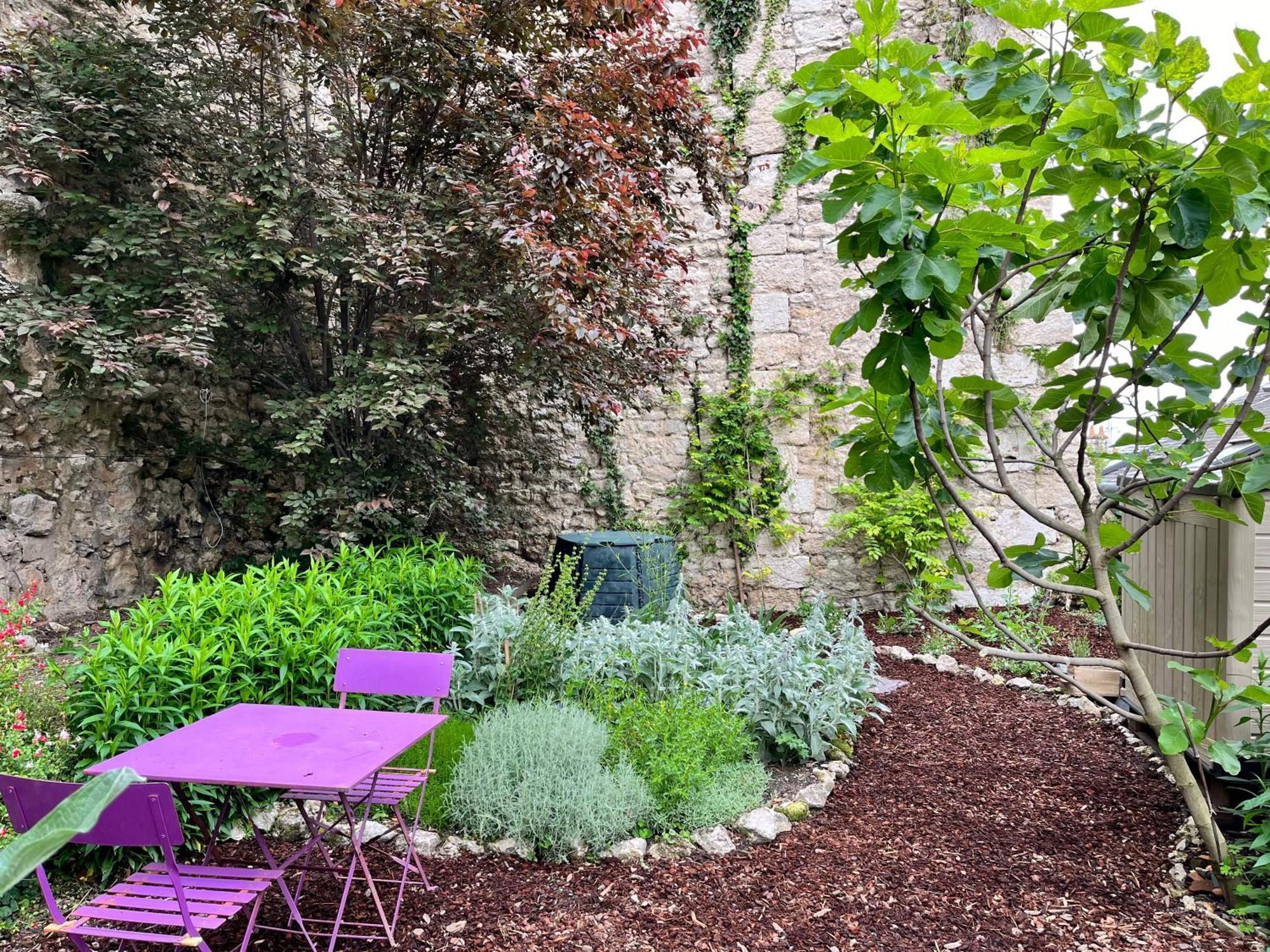 Chatel Rose - Historical Centre With Garden 布鲁瓦 外观 照片