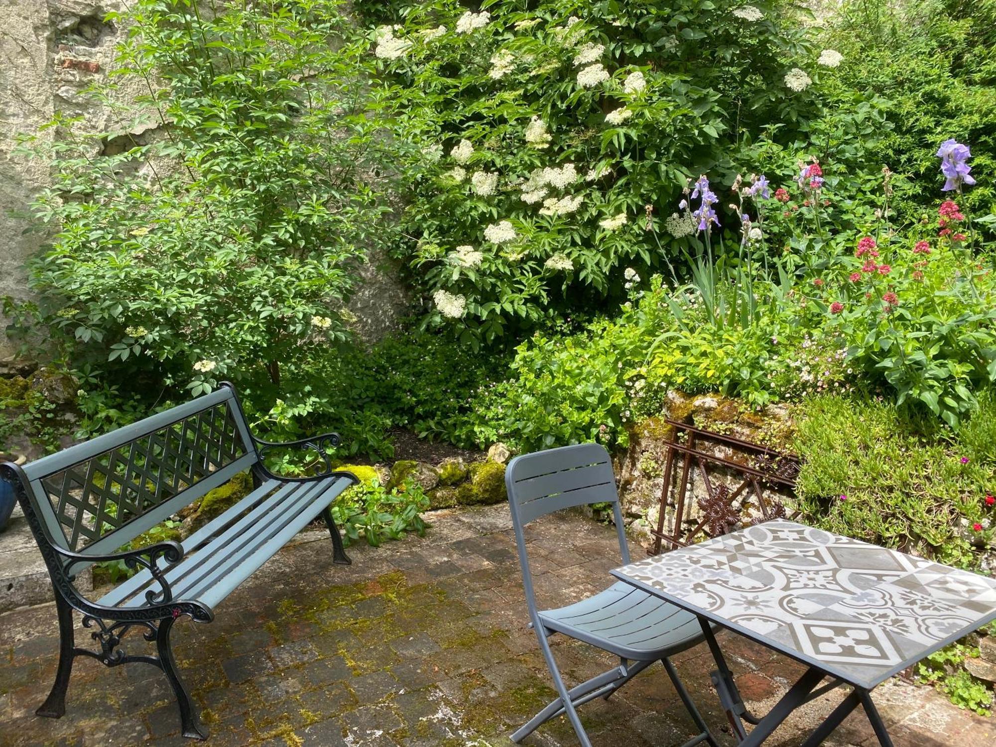 Chatel Rose - Historical Centre With Garden 布鲁瓦 外观 照片