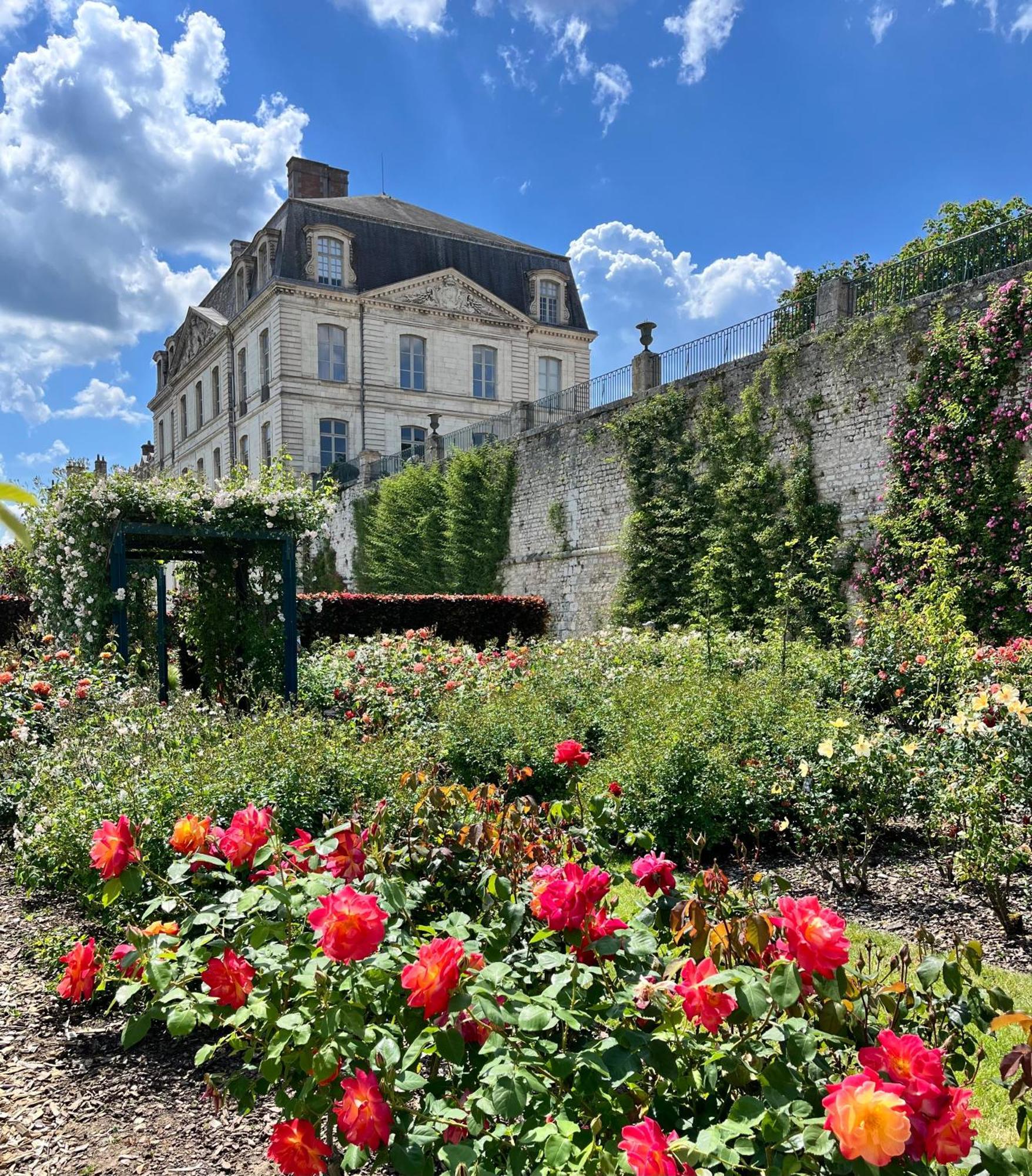 Chatel Rose - Historical Centre With Garden 布鲁瓦 外观 照片