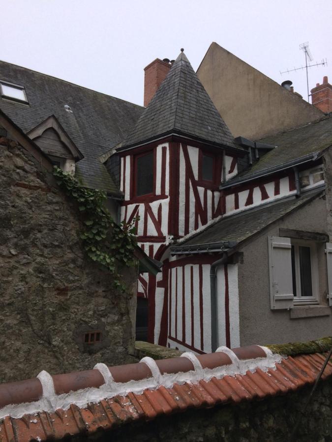 Chatel Rose - Historical Centre With Garden 布鲁瓦 外观 照片