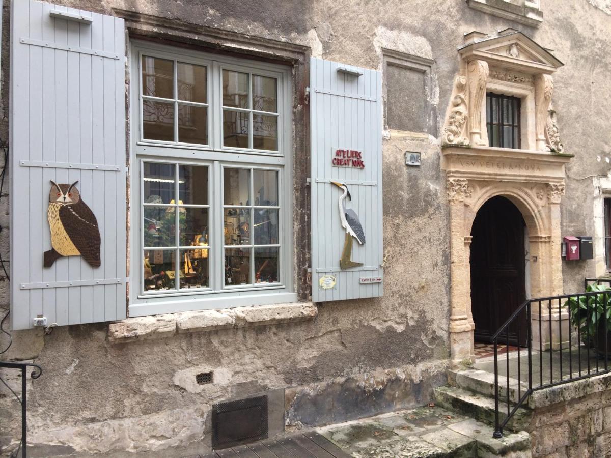 Chatel Rose - Historical Centre With Garden 布鲁瓦 外观 照片
